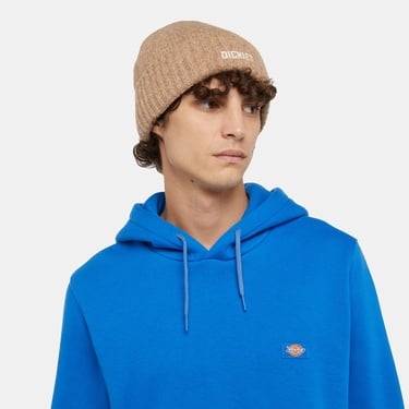  Dickies Harlowtown Unisex Bej Bere