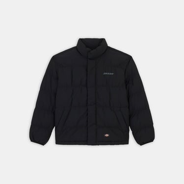  Dickies Scobey Puffer Erkek Siyah Mont