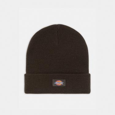  Dickies Gibsland Erkek Kahverengi Bere