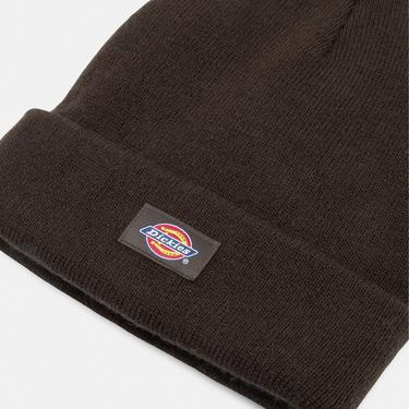  Dickies Gibsland Erkek Kahverengi Bere