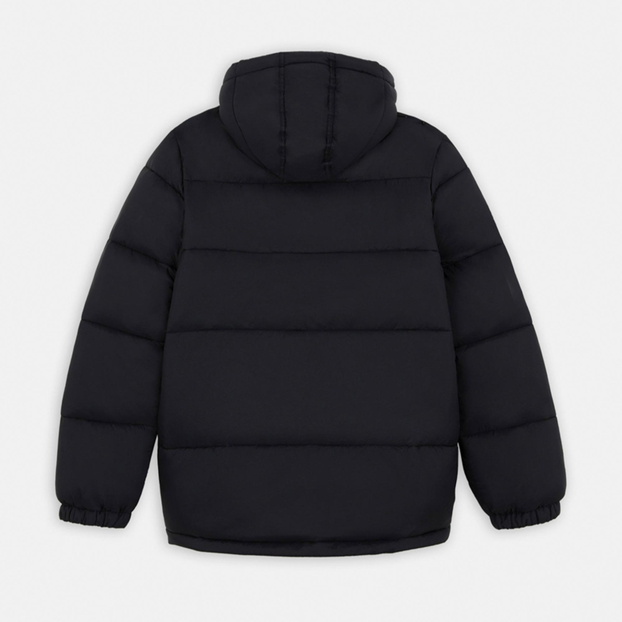 Dickies Waldenburg Hooded Erkek Siyah Mont