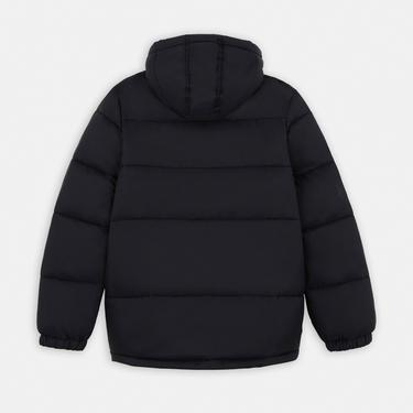  Dickies Waldenburg Hooded Erkek Siyah Mont