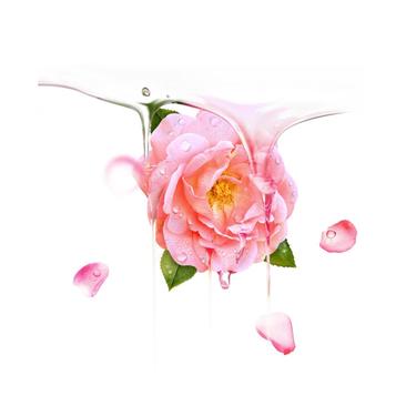  FOREO UFO Bulgarian Rose Nemlendirici 6'lı Aktif Maske