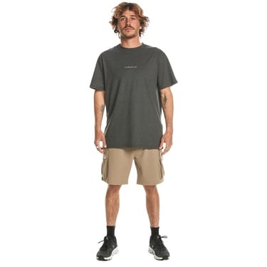  Quiksilver Run Ashore Cargo Erkek Bej Walkshort