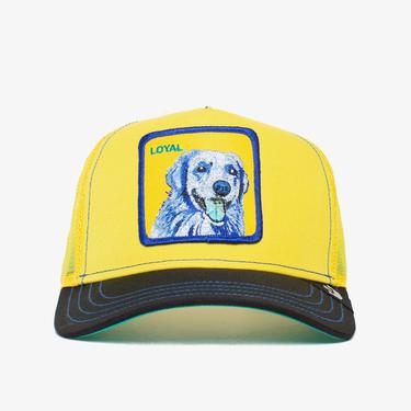  Goorin Bros Doggy Trip Unisex Sarı Şapka