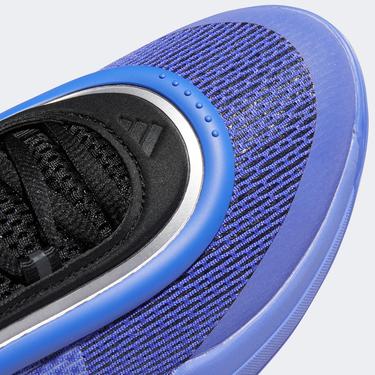  adidas D.O.N. Issue 6 Erkek Mor Basketbol Ayakkabısı