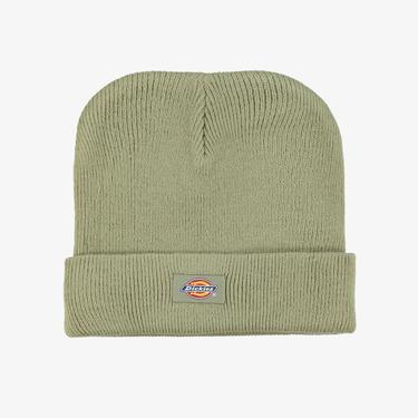  Dickies Gibsland Erkek Yeşil Bere