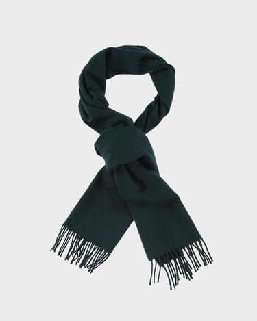  GANT Unisex Yeşil Atkı