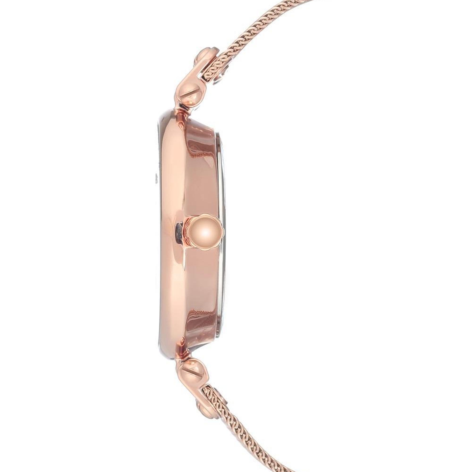 ANNE KLEIN AK-3000RGRG Kadın Kol Saati