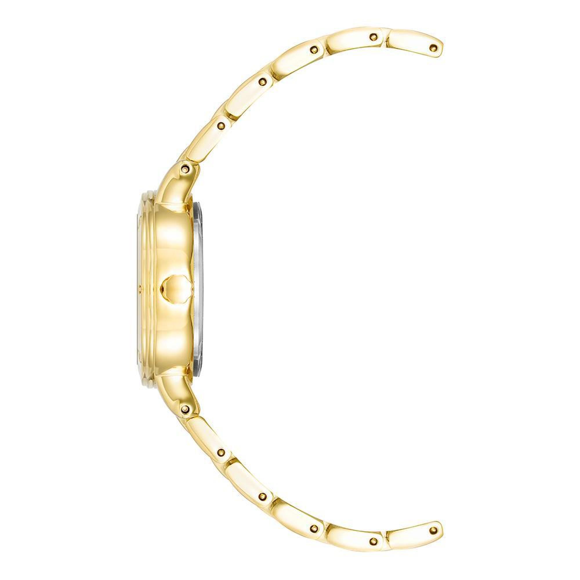 ANNE KLEIN AK-4014WTGB Kadın Kol Saati