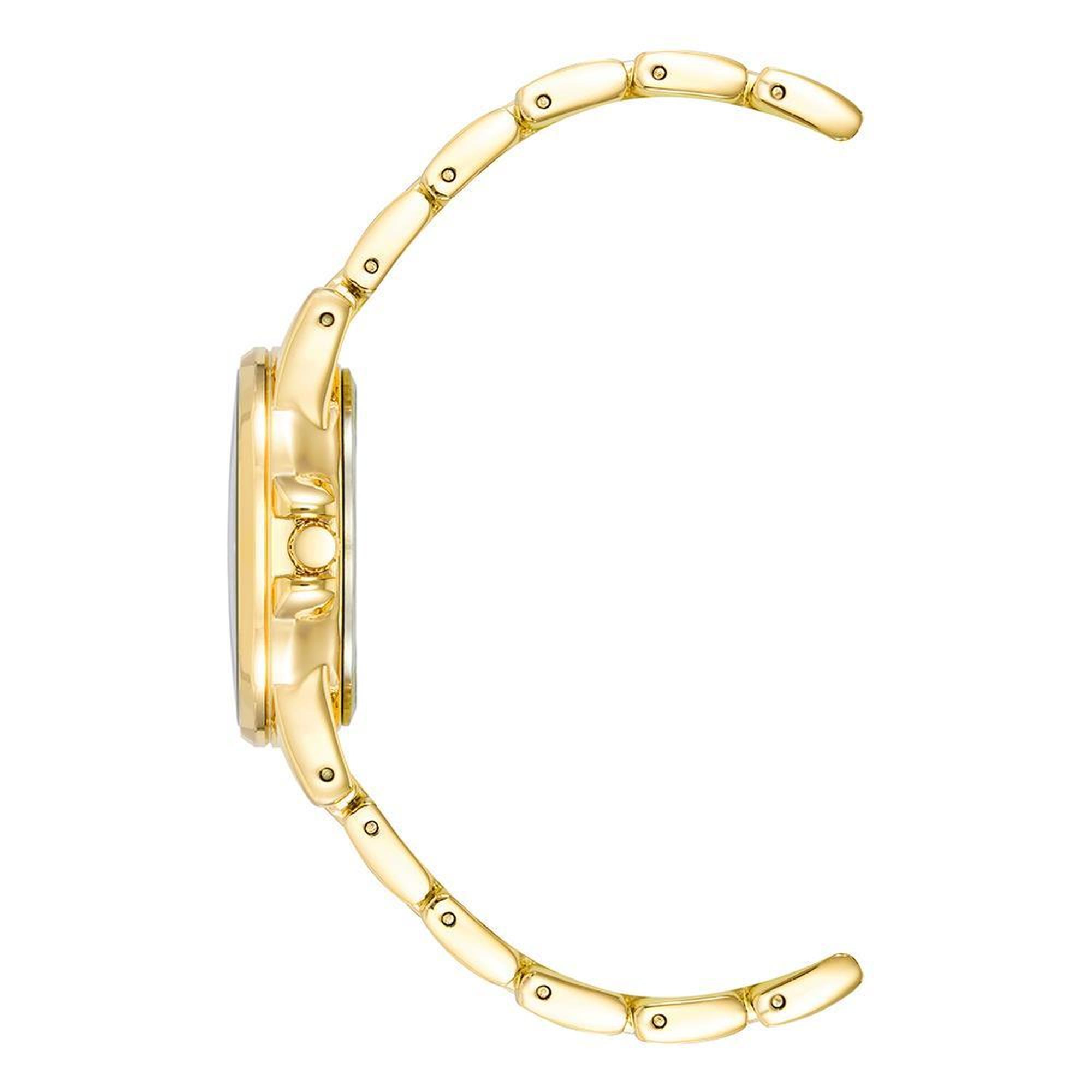 ANNE KLEIN AK-4132RQGB Kadın Kol Saati