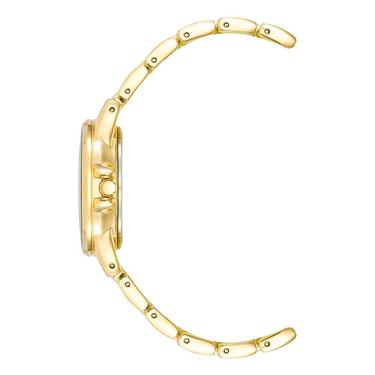  ANNE KLEIN AK-4132RQGB Kadın Kol Saati