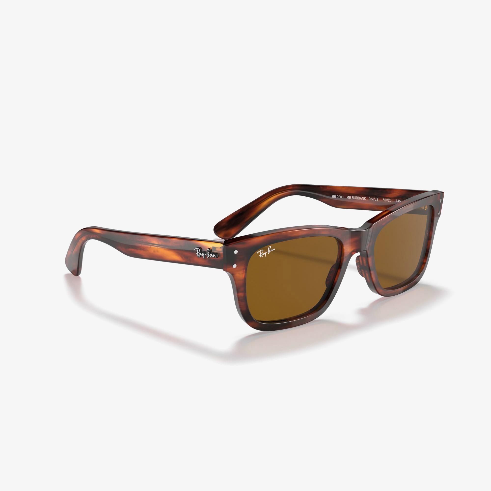 Ray-Ban 0RB2283 Erkek Striped Havana Kahverengi Güneş Gözlüğü