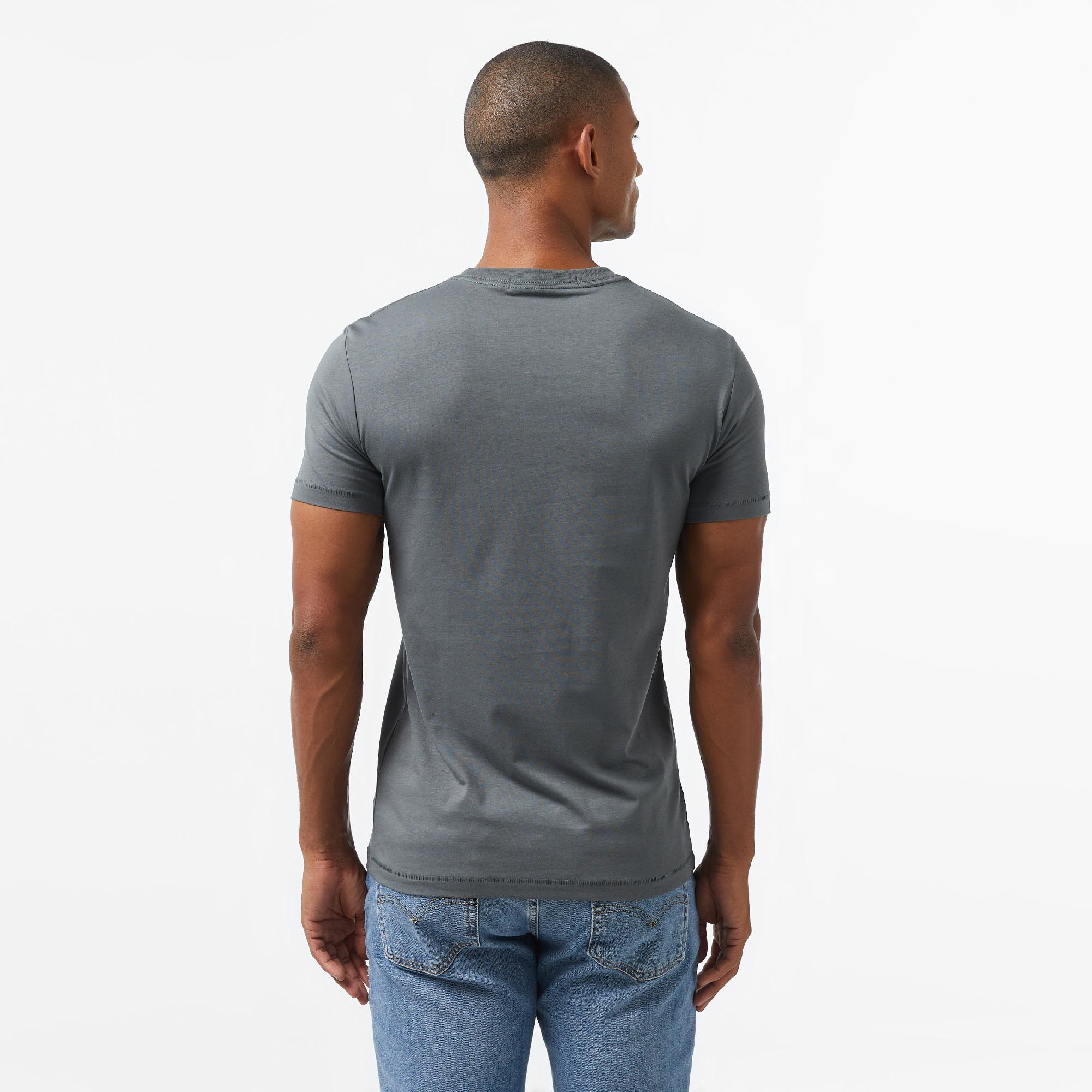 Calvin Klein Jeans Seasonal Monologo Erkek Gri T-Shirt