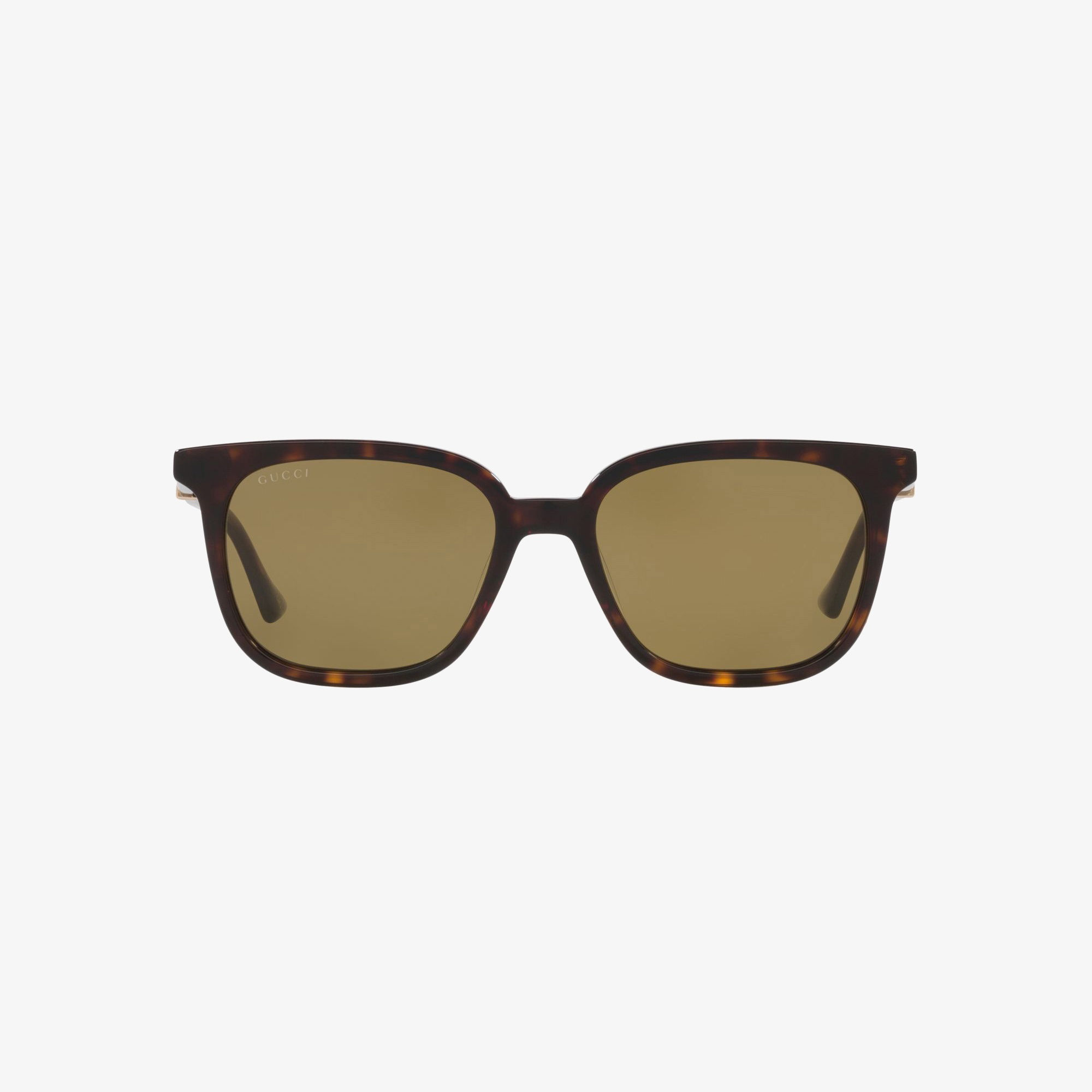 GUCCI Gg1493S Erkek Tortoıse Güneş Gözlüğü