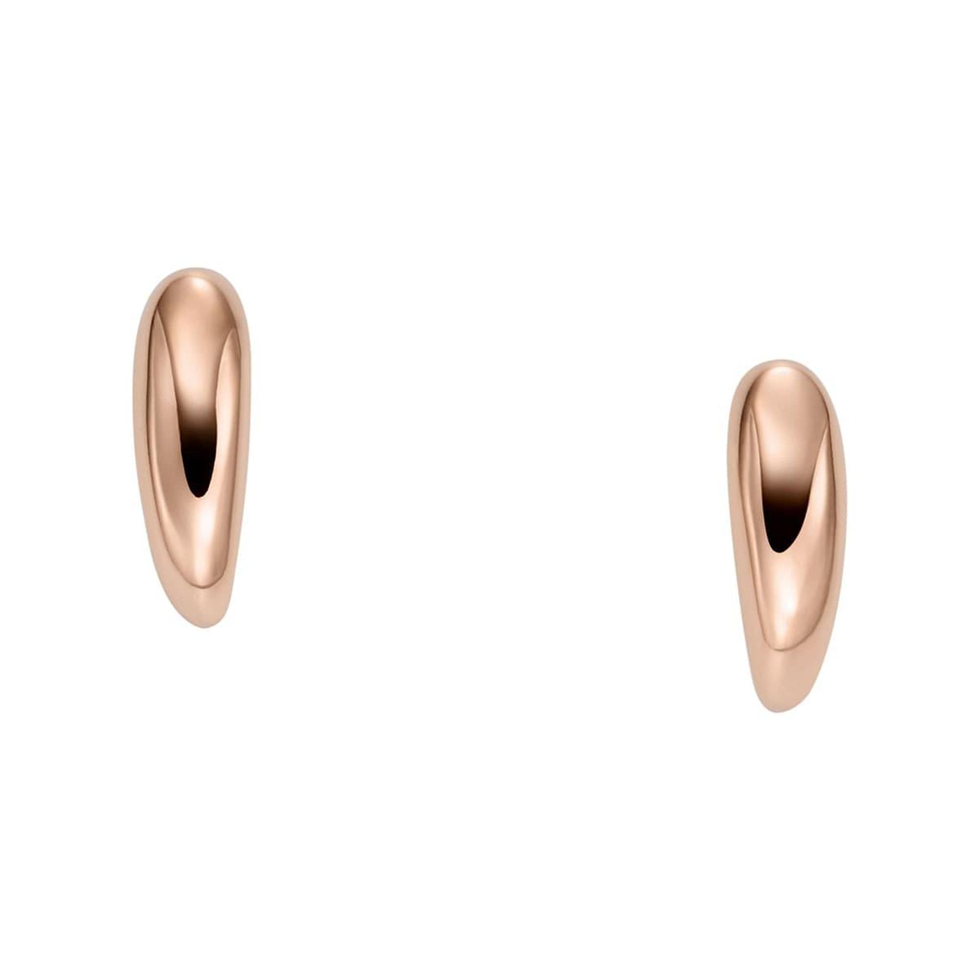 Skagen SKJ1847-791 Kadın Küpe