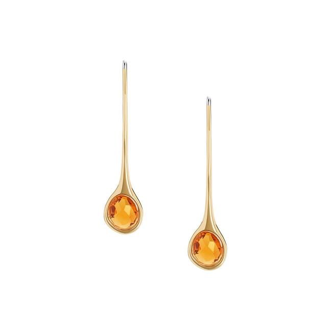  Skagen SKJ1741-710 Kadın Küpe