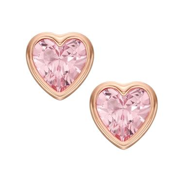  Fossil JOA00840-791 Kalpli Kadın Küpe