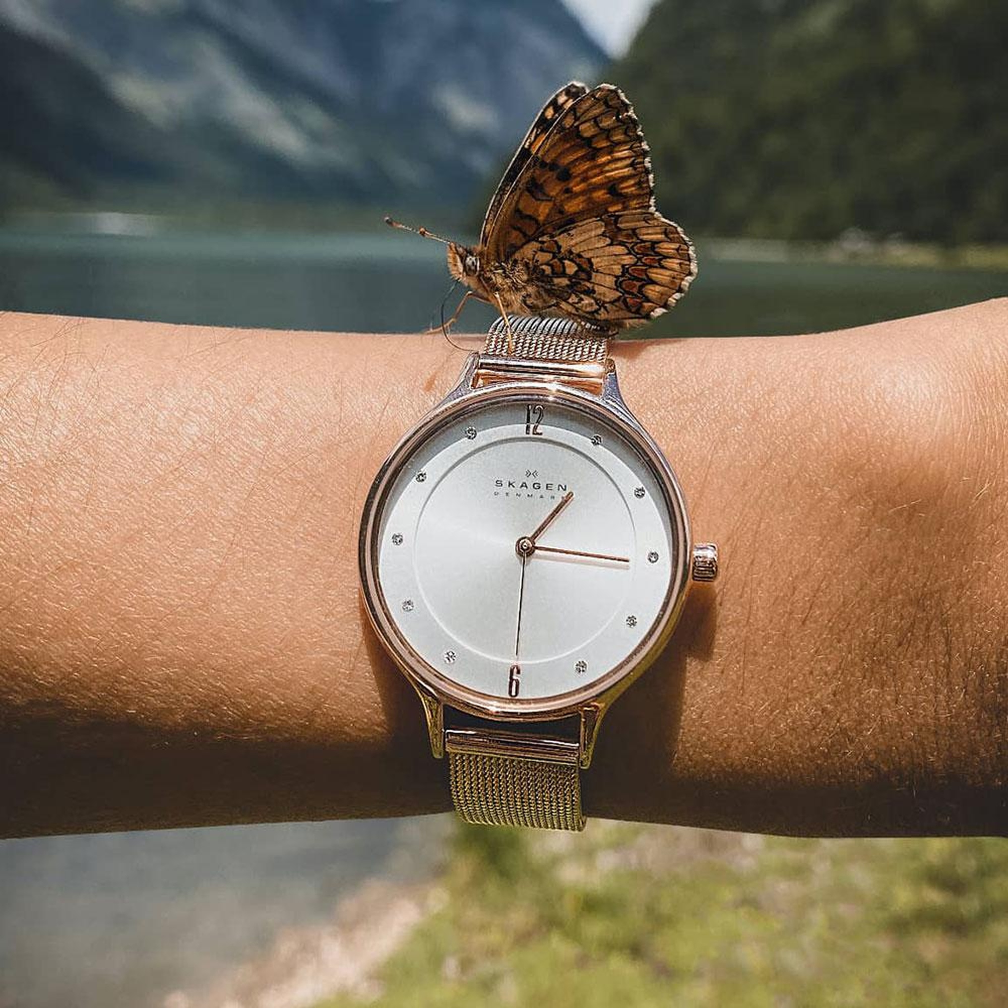 Skagen SKW2151 Kadın Kol Saati