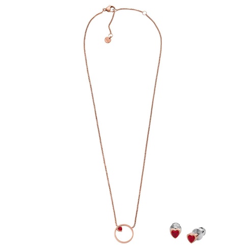  Skagen SKJB1007-791 Kalpli Kadın Kolye ve Küpe Seti