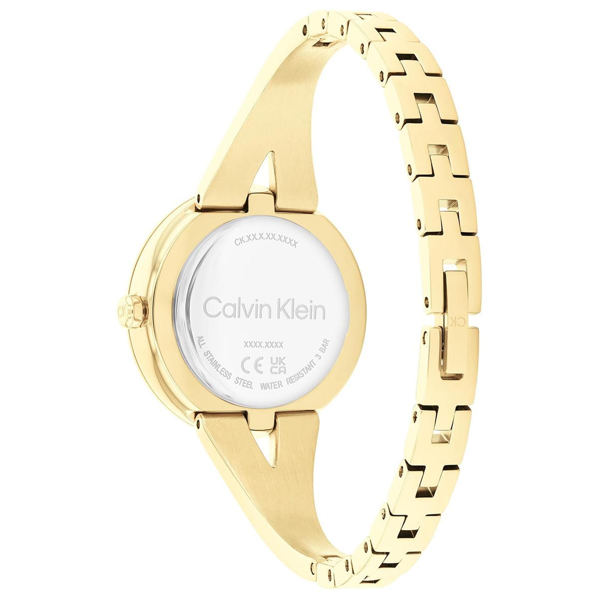 Calvin Klein CK25100027 Kadın Kol Saati