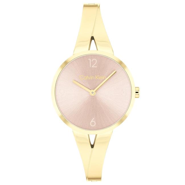  Calvin Klein CK25100027 Kadın Kol Saati