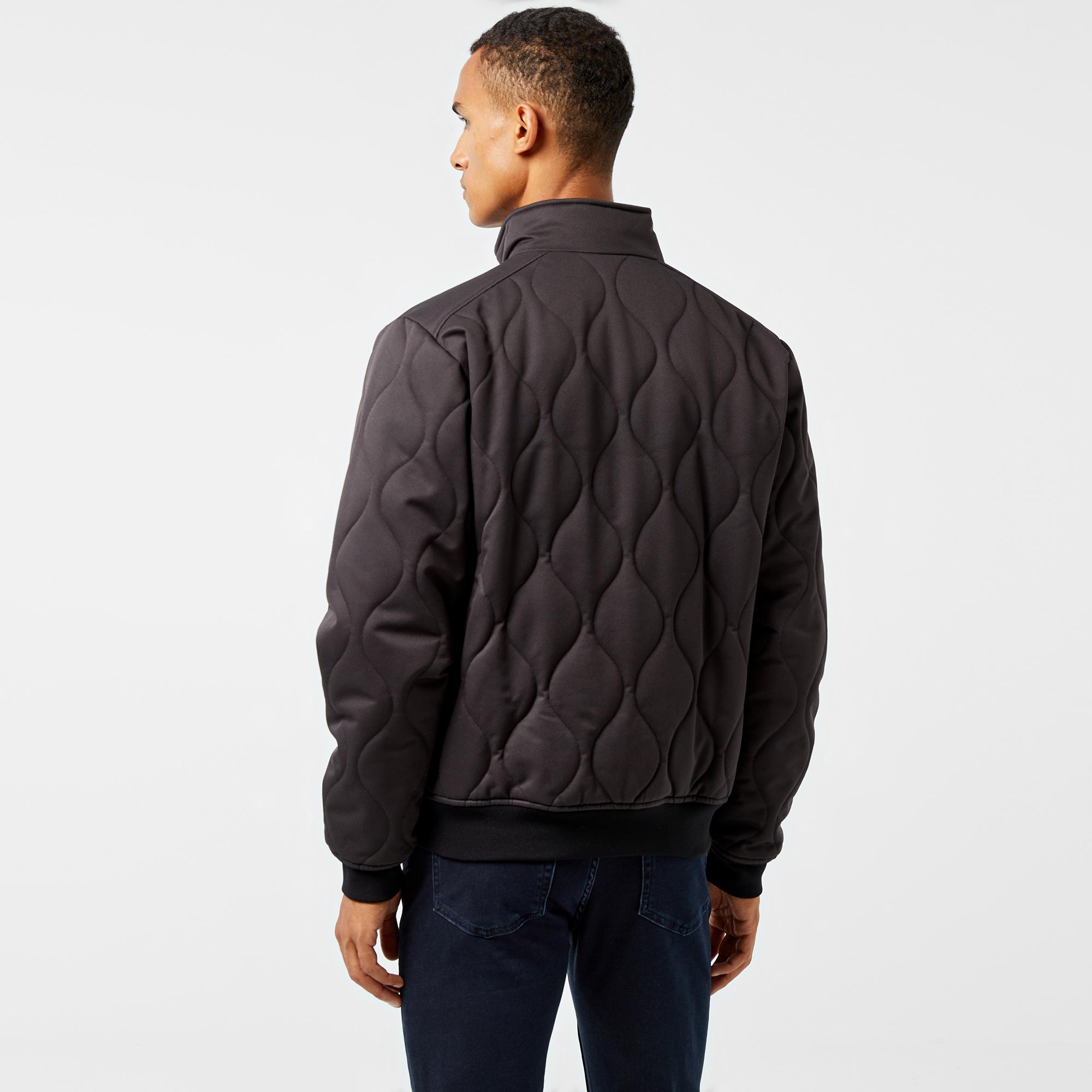 Erkek Relaxed Fit Dik Yaka Kapitone Siyah Mont