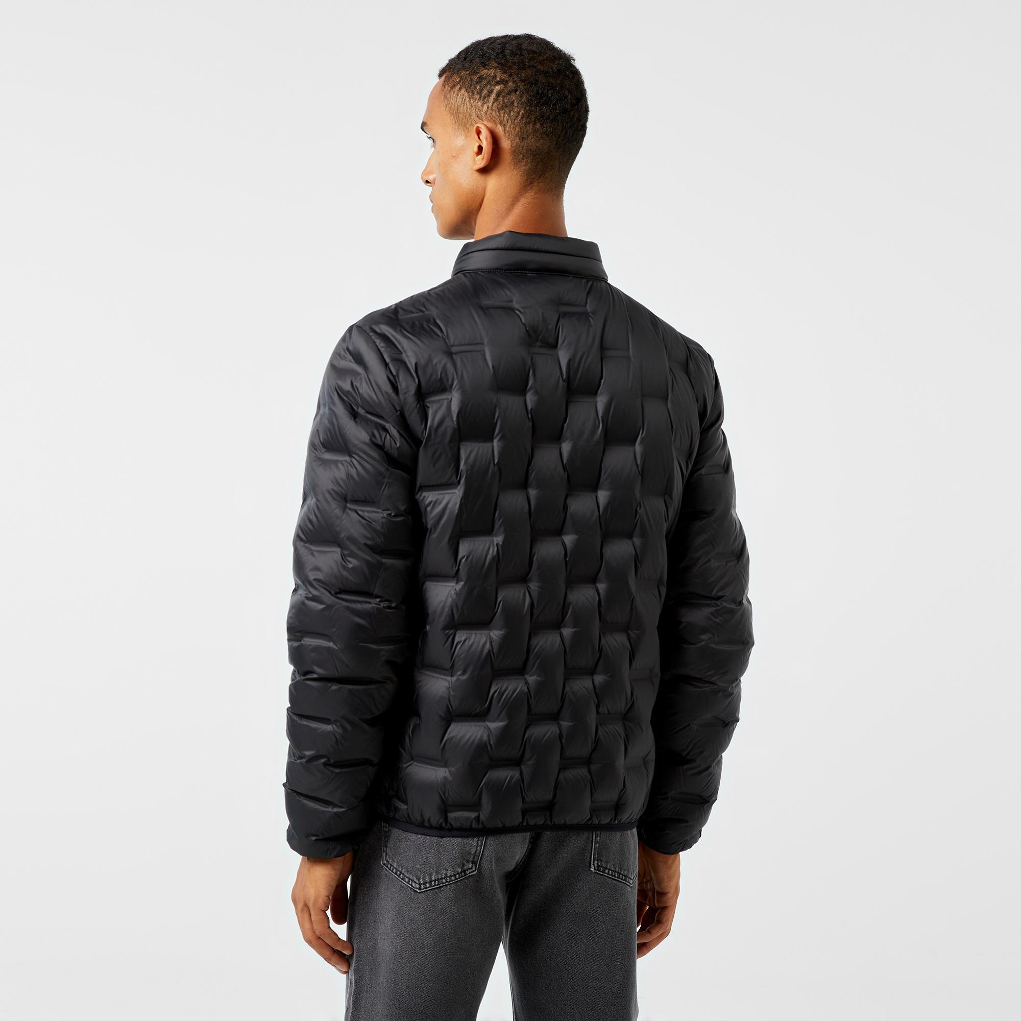 Erkek Regular Fit Kapüşonlu Kapitone Siyah Mont