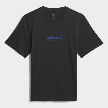  adidas Skateboarding Arched Erkek Siyah T-Shirt
