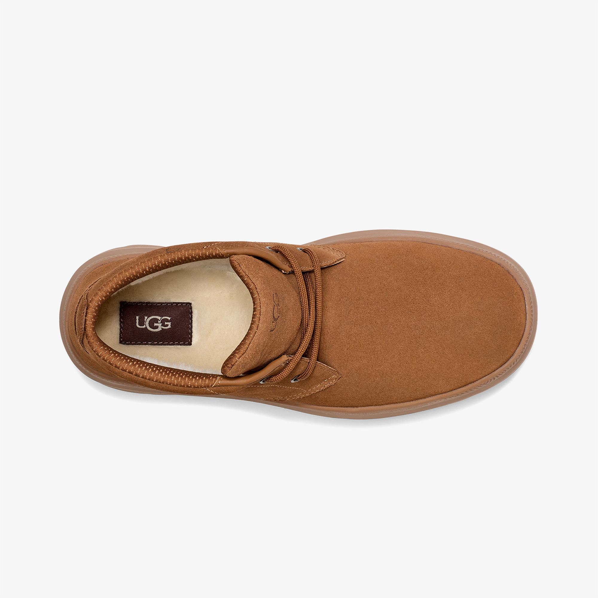 UGG Burleigh Chukka Erkek Taba Bot