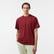 Les Benjamins Sleeve 301 Erkek Bordo T-Shirt