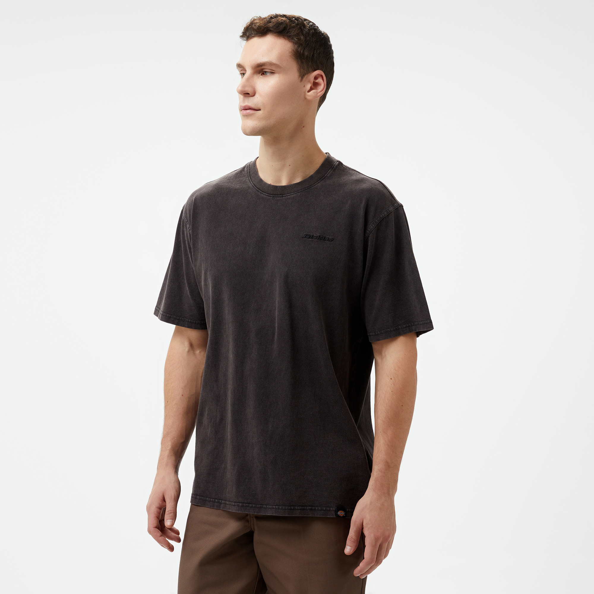  Dickies Plentywood SS Siyah Erkek T-Shirt