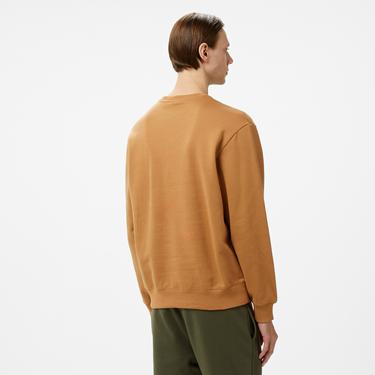  Champion Erkek Kahverengi Sweatshirt