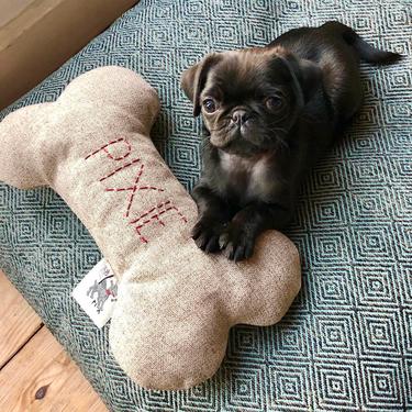  St. Pia Bone Köpek Yastığı