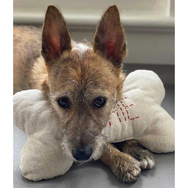  St. Pia Bone Köpek Yastığı