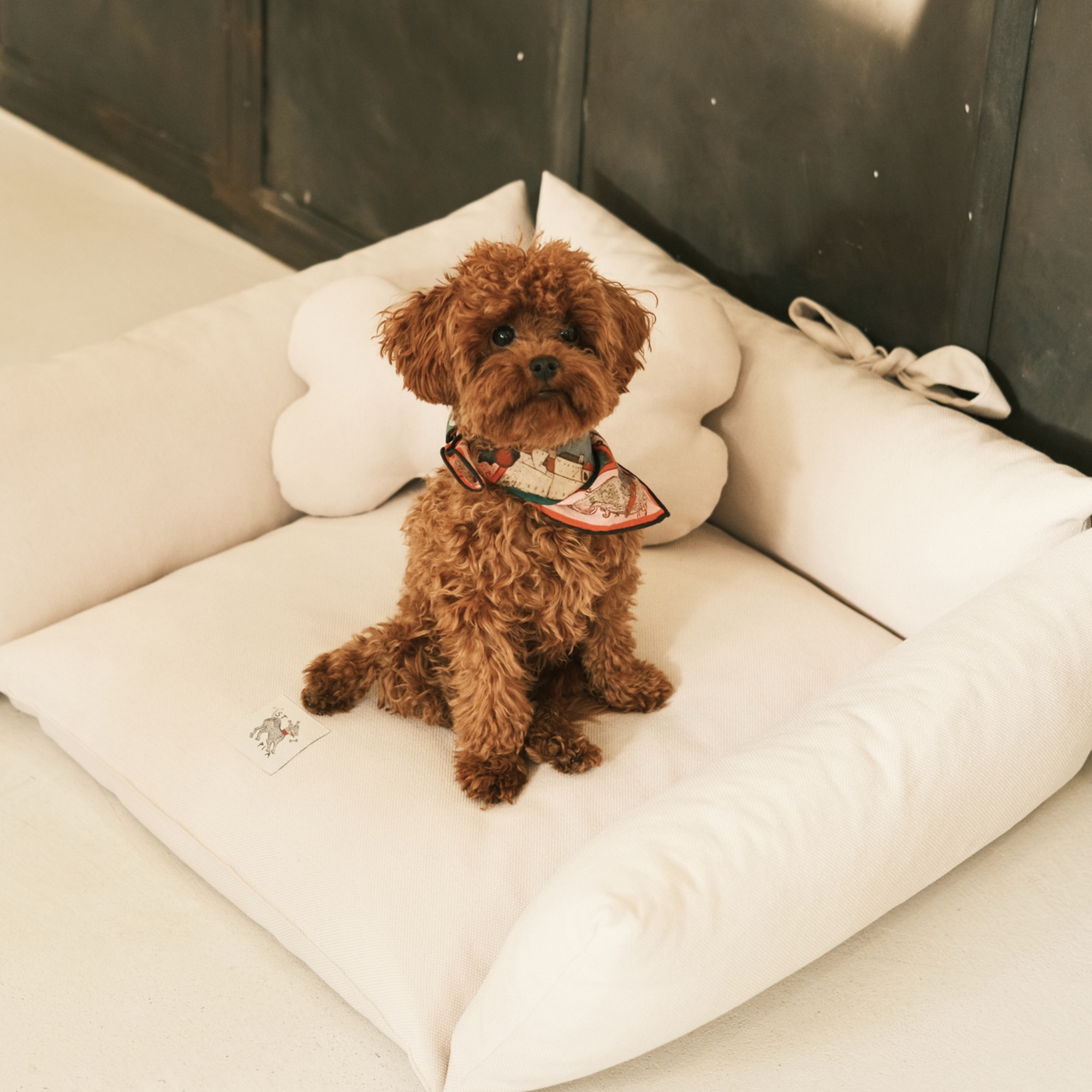 St. Pia Cornette Kedi ve Köpek Yatağı