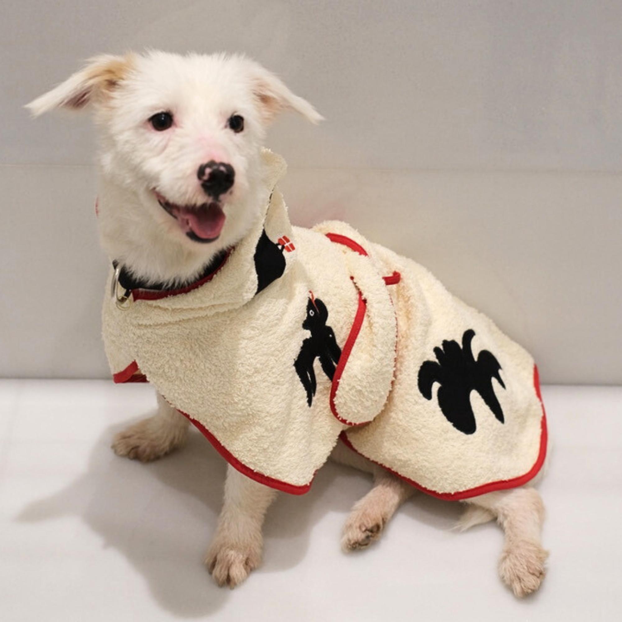 St. Pia Umbra Köpek Bornozu