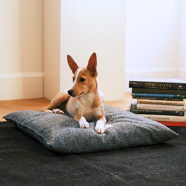  St. Pia Akide Kedi ve Köpek Yatağı