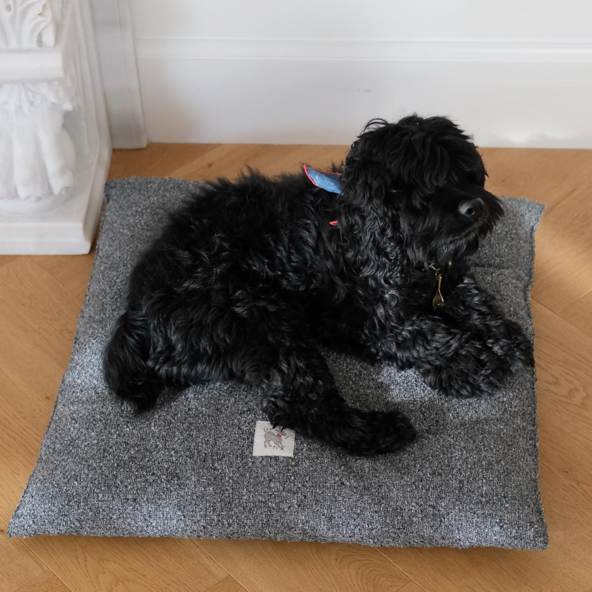 St. Pia Akide Kedi ve Köpek Yatağı