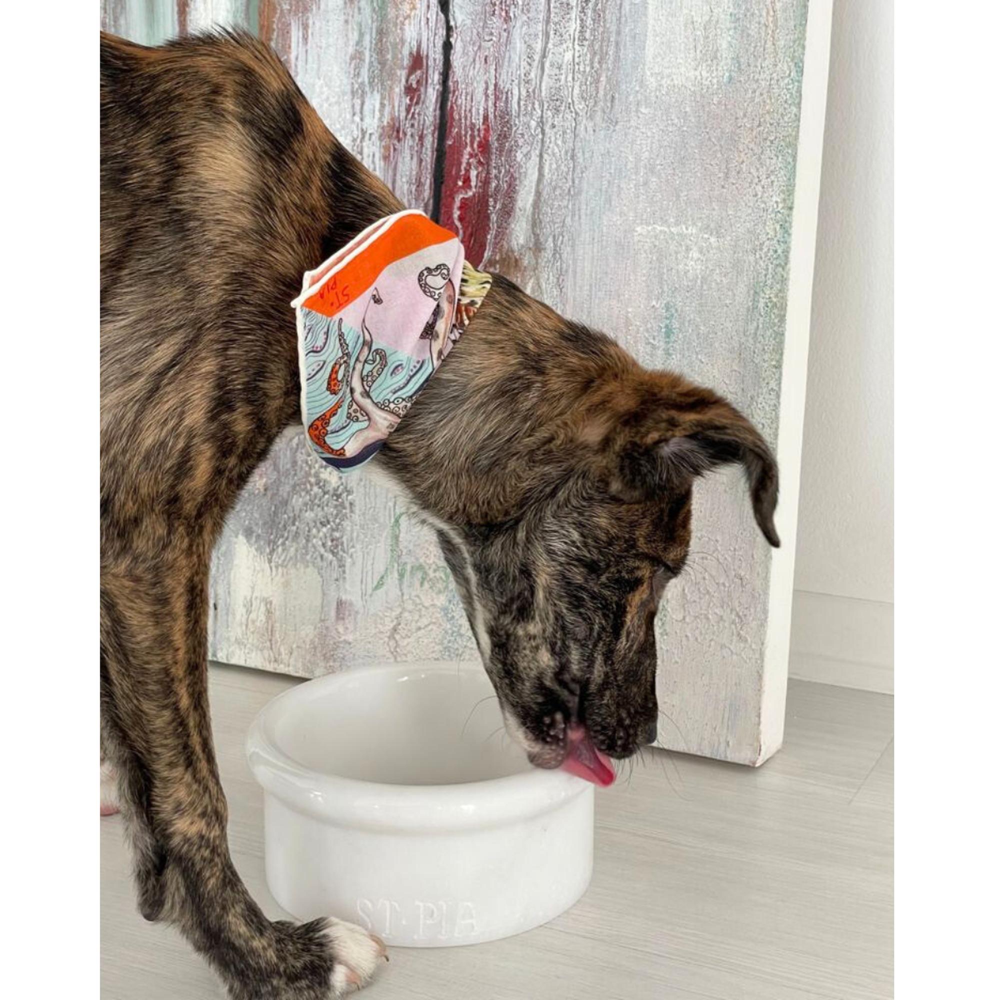 St. Pia Marbowl Mama ve Su Kabı