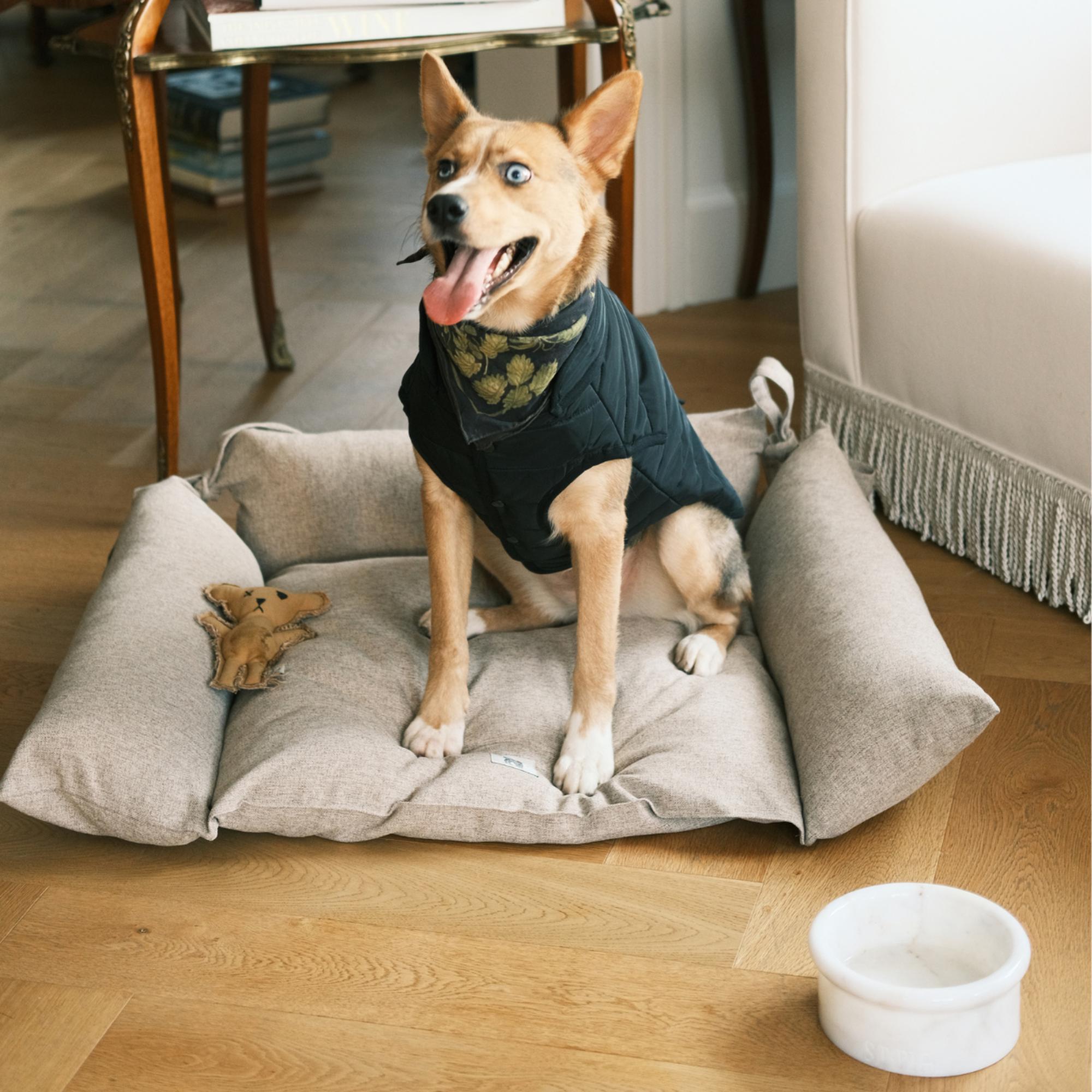 St. Pia Marbowl Mama ve Su Kabı