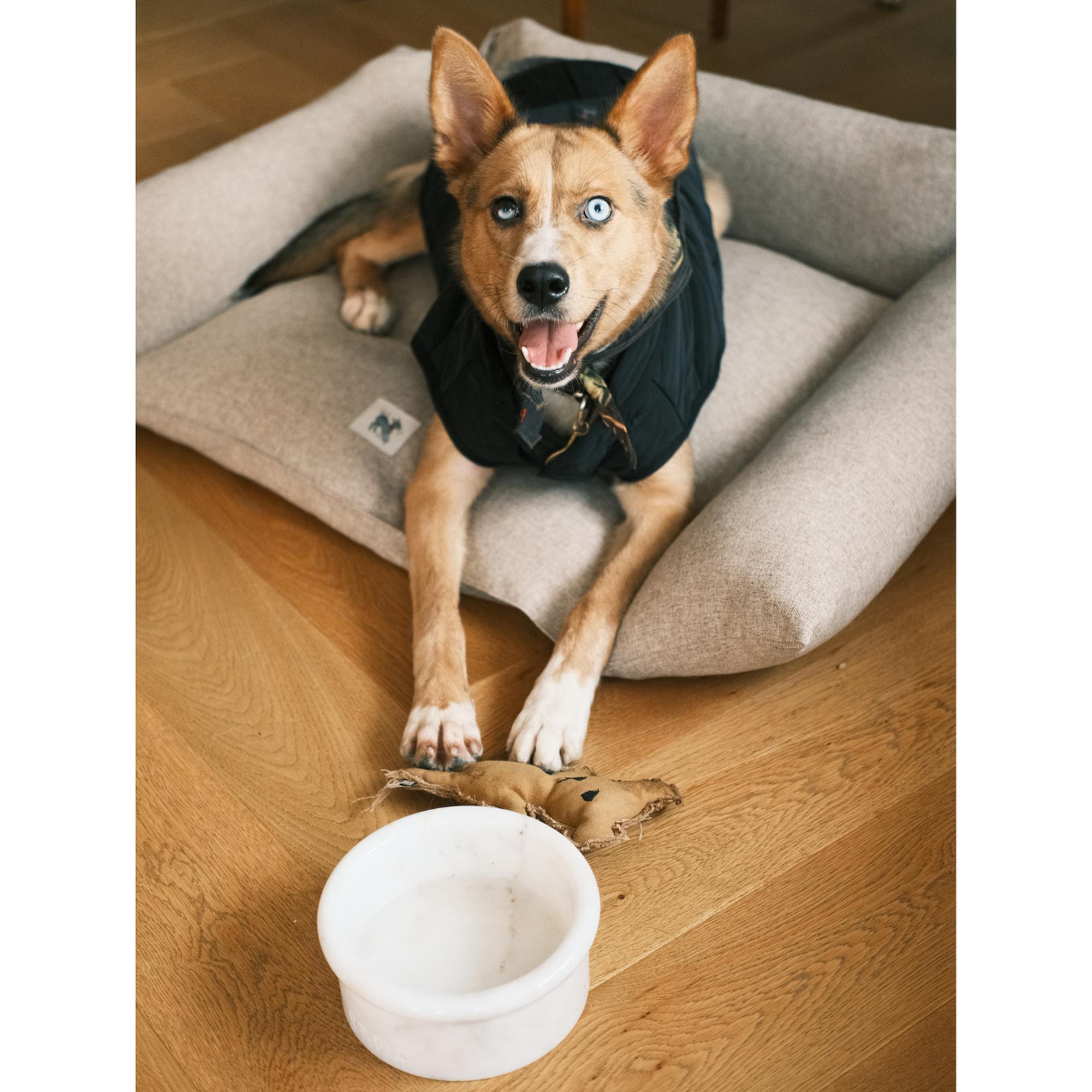 St. Pia Marbowl Mama ve Su Kabı