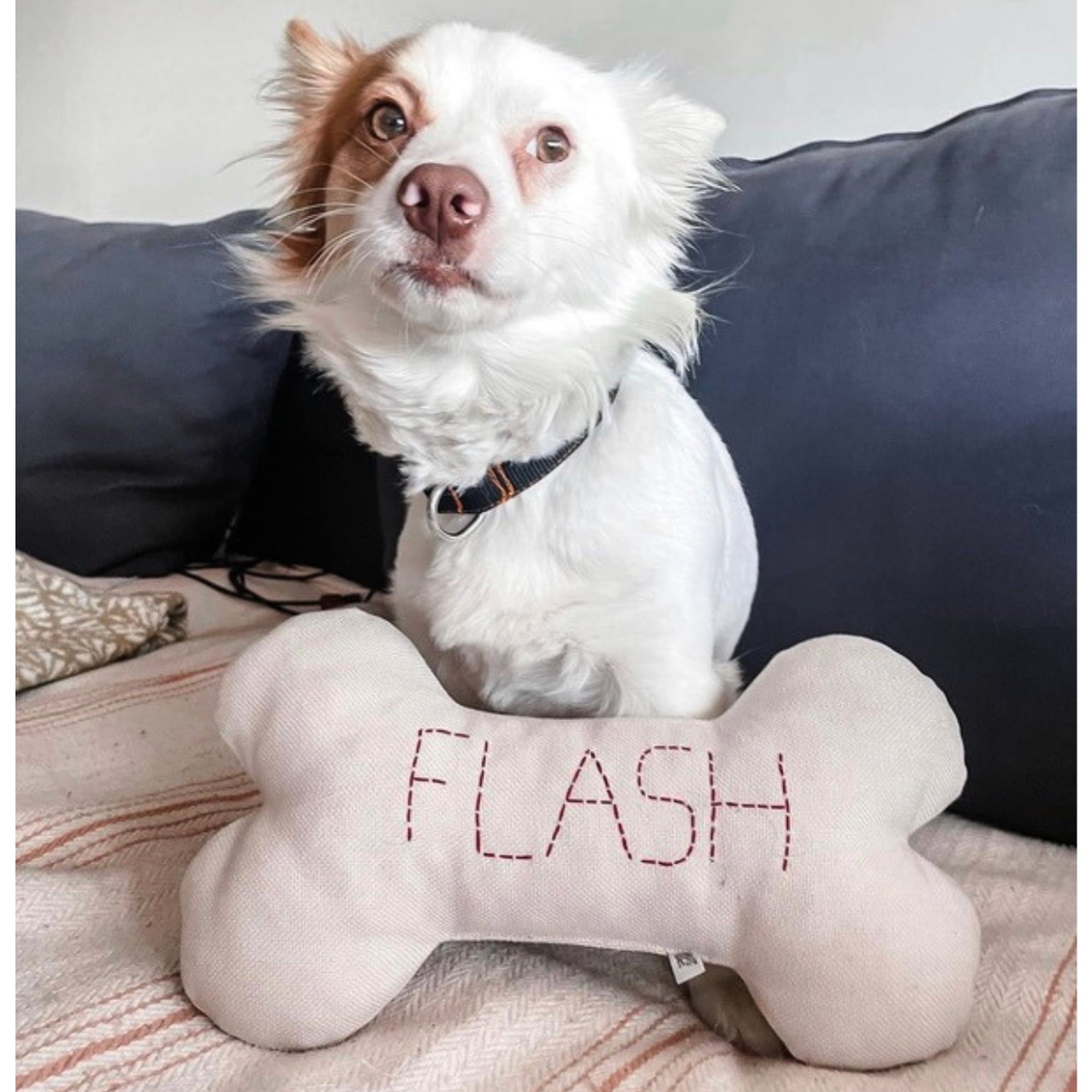 St. Pia Bone Köpek Yastığı