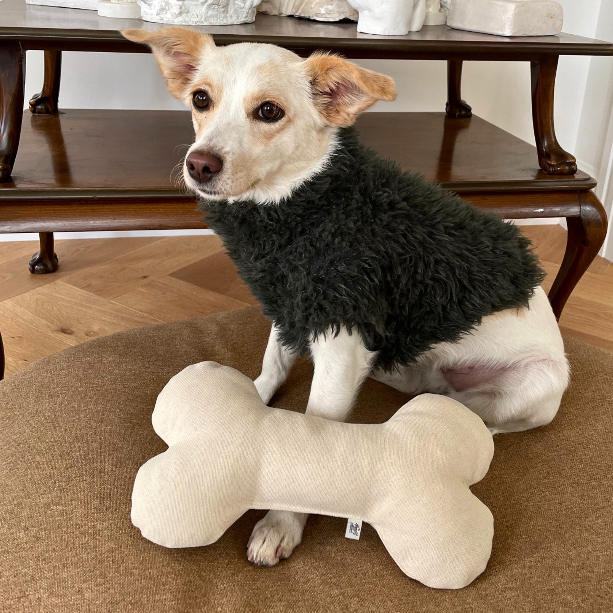 St. Pia Bone Köpek Yastığı