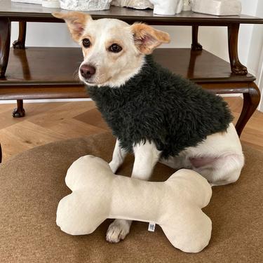  St. Pia Bone Köpek Yastığı