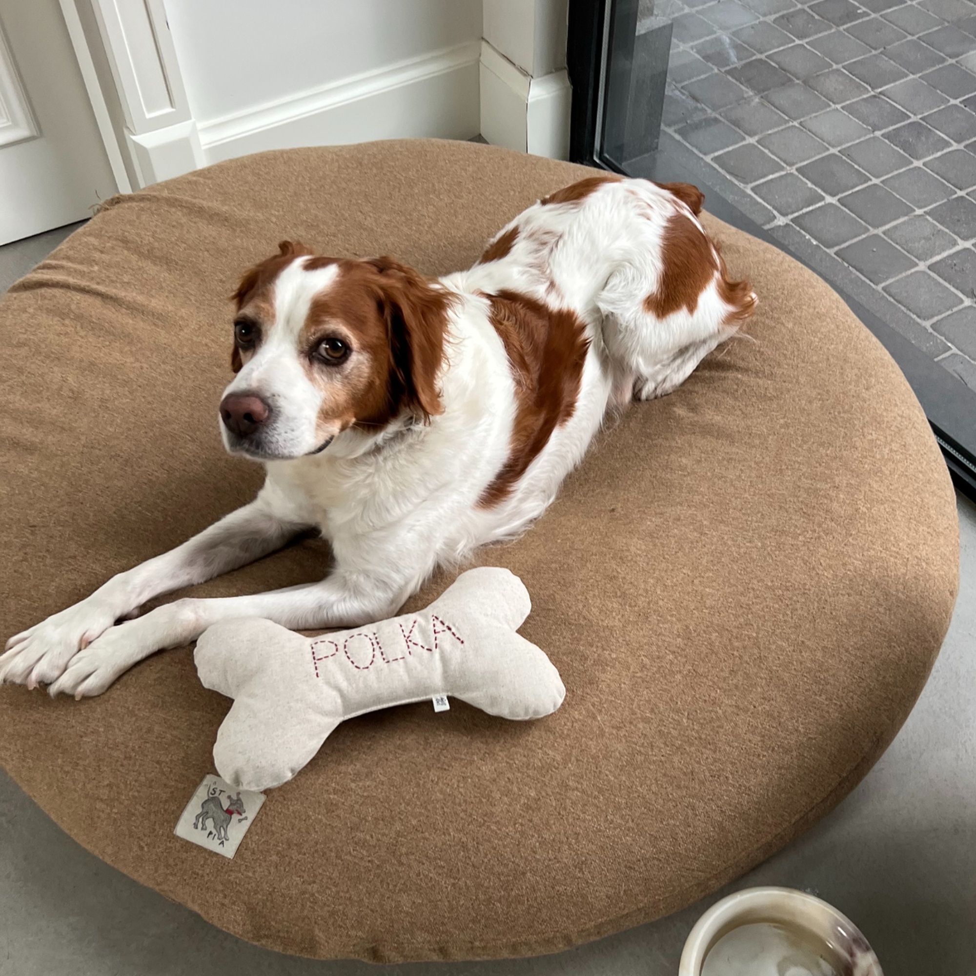 St. Pia Bone Köpek Yastığı