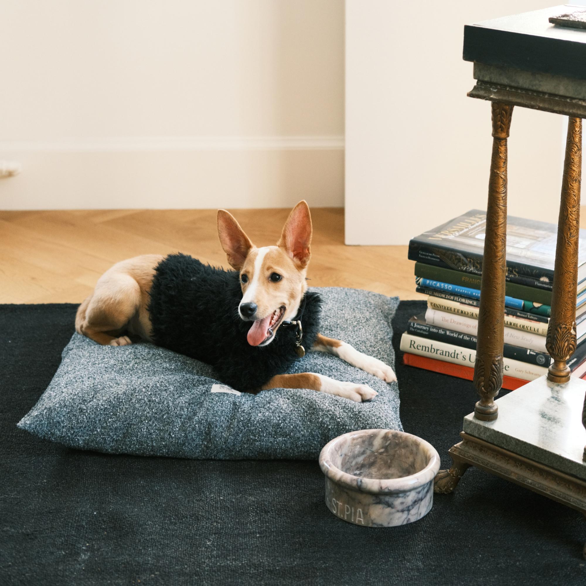 St. Pia Marbowl Mama ve Su Kabı