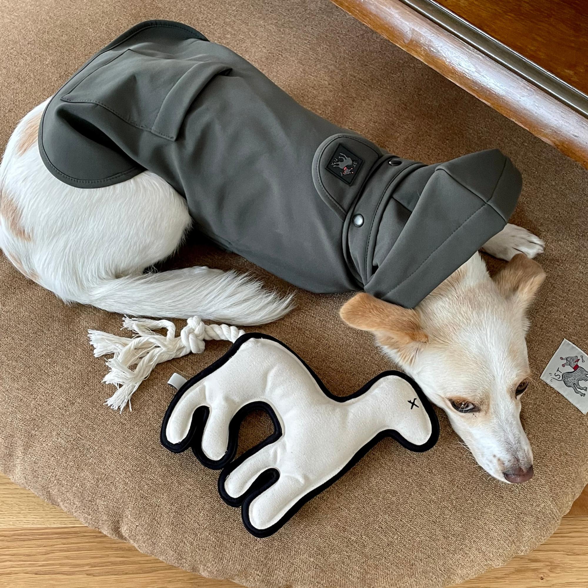 St. Pia Pluvio Köpek Yağmurluğu