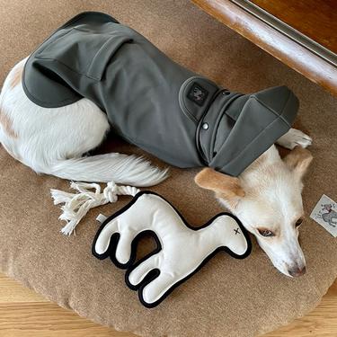  St. Pia Pluvio Köpek Yağmurluğu