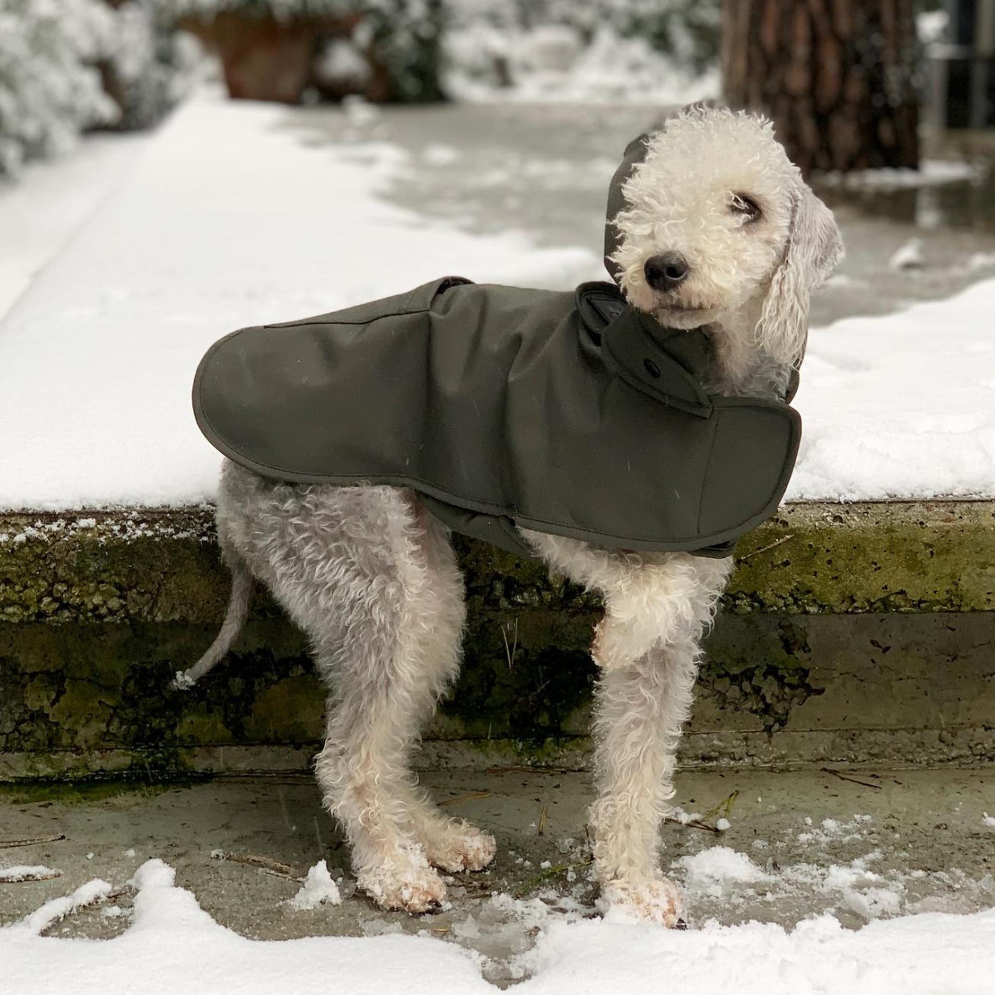 St. Pia Pluvio Köpek Yağmurluğu